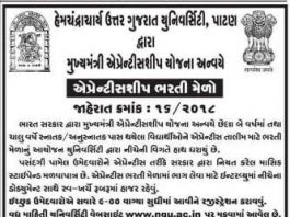 HNGU Apprenticeship Bharti Melo