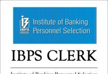 ibps clerk