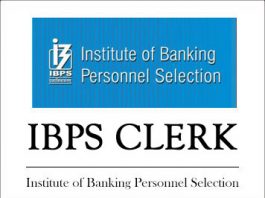 ibps clerk