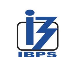 IBPS Recruitment