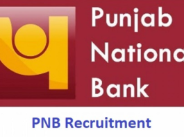pnb recruitment