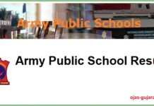 Army Public School Result