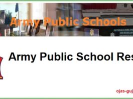 Army Public School Result