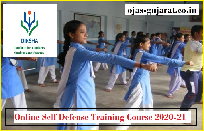 Online Self Defense Training