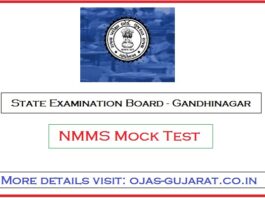 SEB NMMS Mock Test