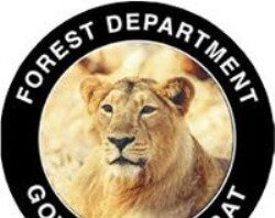 Gujarat Forest Guard Call Letter
