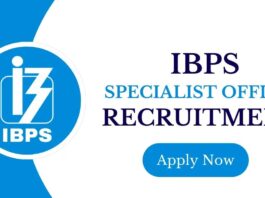 IBPS SO Recruitment